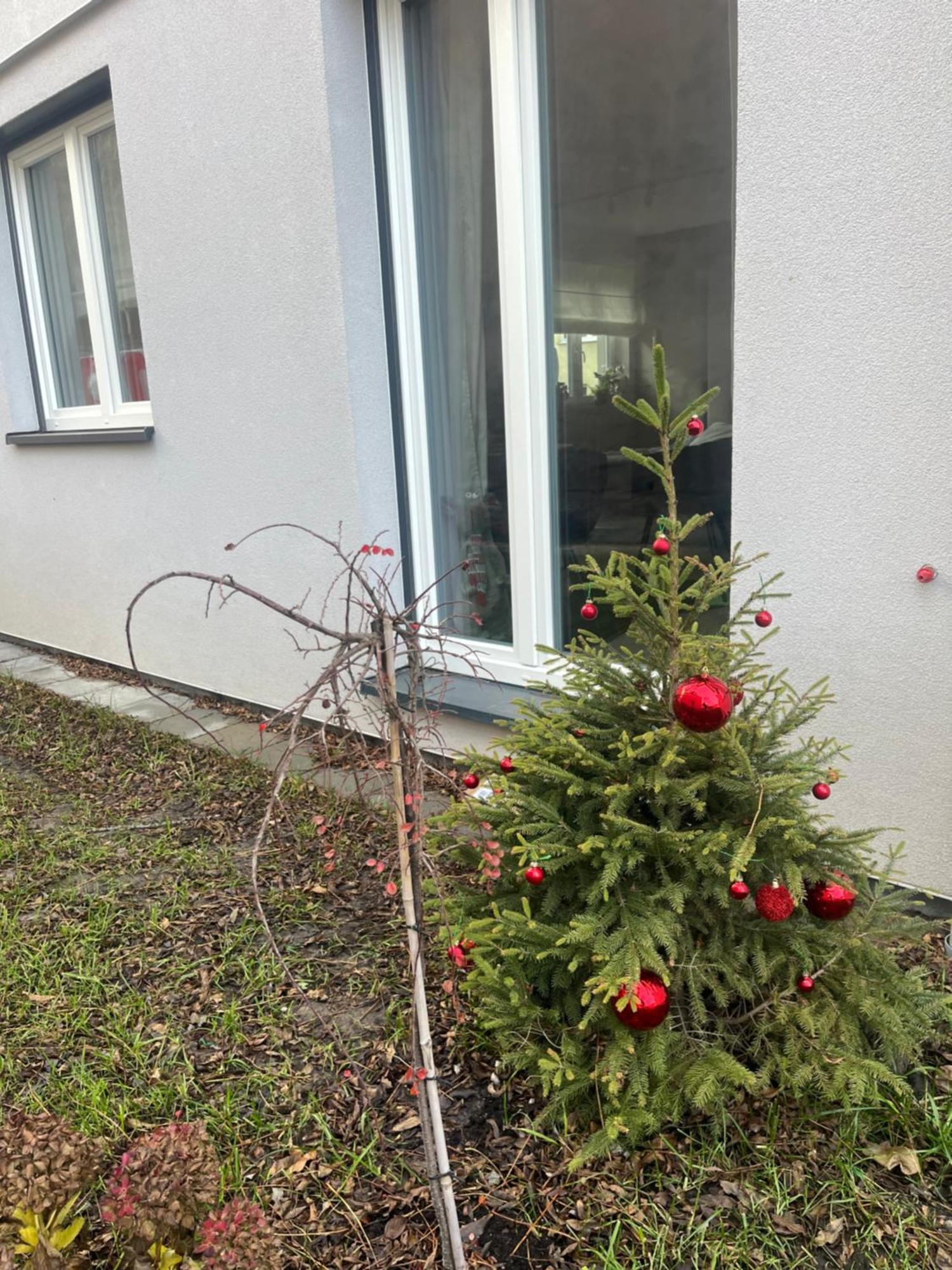 Apartament Kaszmirowy Bielsko-Biala Exterior photo